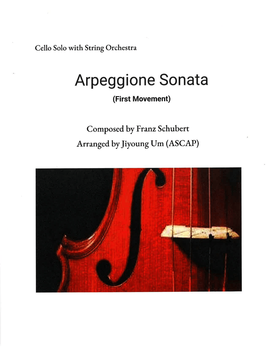 Arpeggione Sonata (First Movement) with String Orchestra Chamber Music scores gallery preview page 1