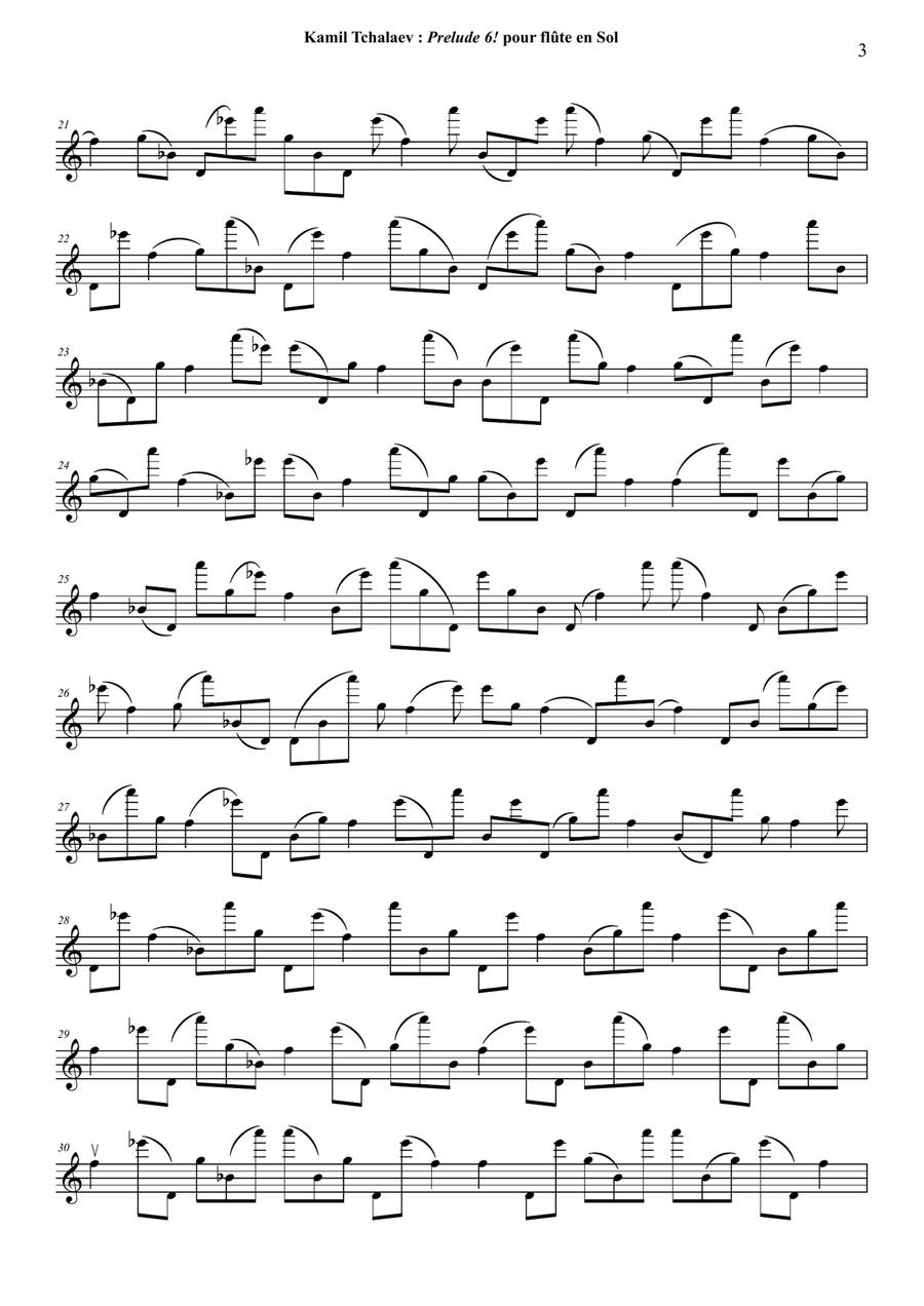 Kamil Tchalaev : Prelude 6! for solo alto flute Flute Solo scores gallery preview page 5