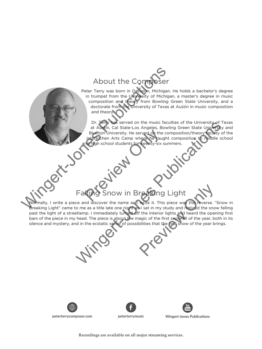 Falling Snow in Breaking Light (Score) String Orchestra scores gallery preview page 3