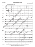 The Crooked Pine (Standard Set) String Orchestra scores gallery preview page 4