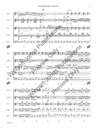 The Crooked Pine (Standard Set) String Orchestra scores gallery preview page 8