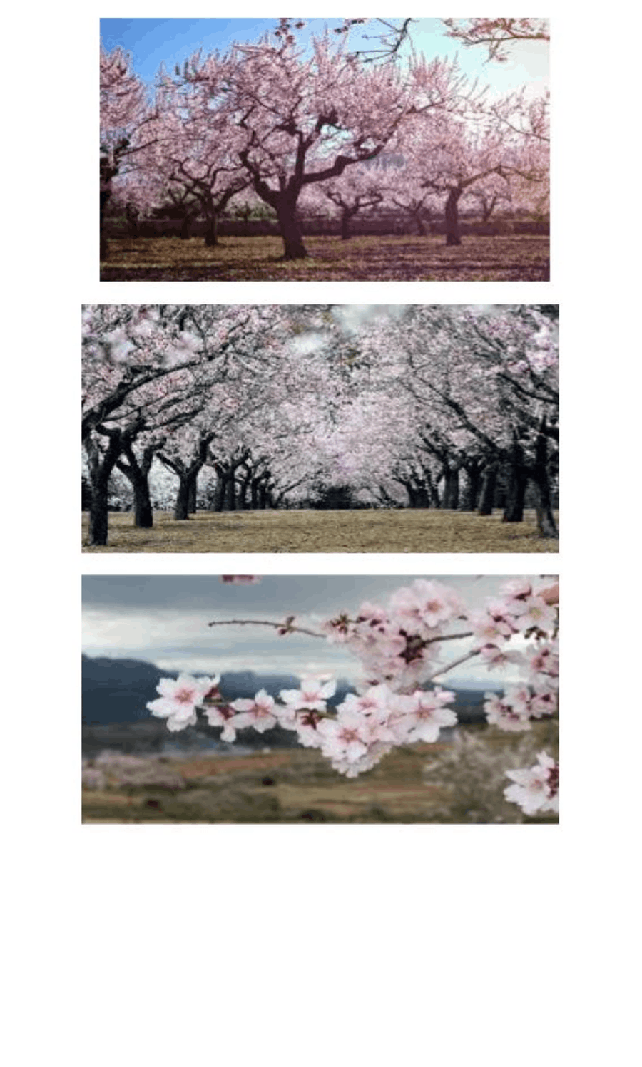 Los Almendros Los Almendros Piano Solo scores gallery preview page 3