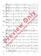Carpathian Castle String Orchestra scores gallery preview page 8