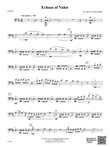 Echoes of Valor: Cello