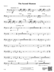 The Second Shaman: Timpani