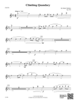 Climbing Quandary: Flute