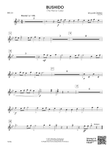 Bushido: Bells