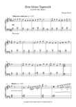Eine kleine Tagmusik (A Little Day Music)