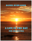 A Life in the Day
