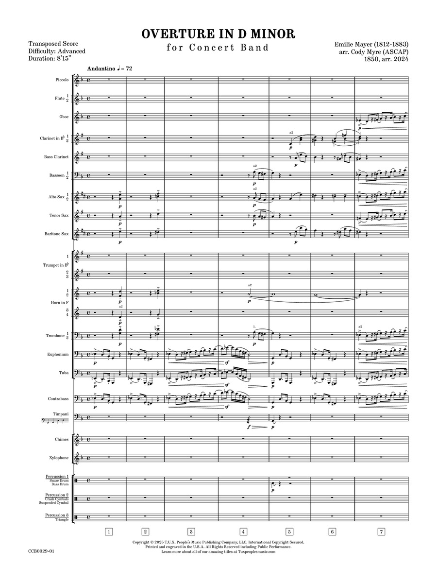 Overture in D minor Overture in D minor Concert Band scores gallery preview page 4