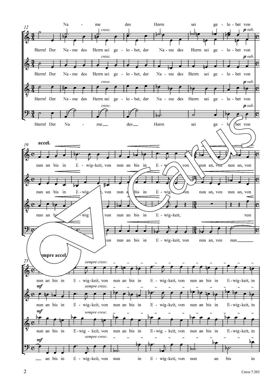 Lobet den Herrn Divisi - Sheet Music page 3