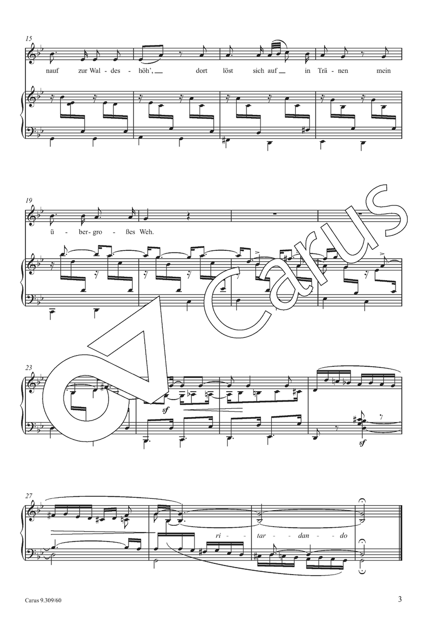 Hör ich das Liedchen klingen 4-Part scores gallery preview page 4