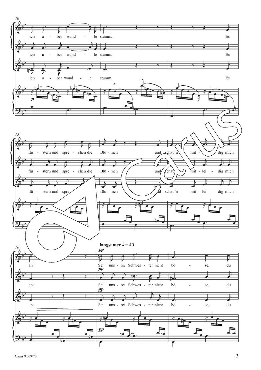 Am leuchtenden Sommermorgen SSA scores gallery preview page 4