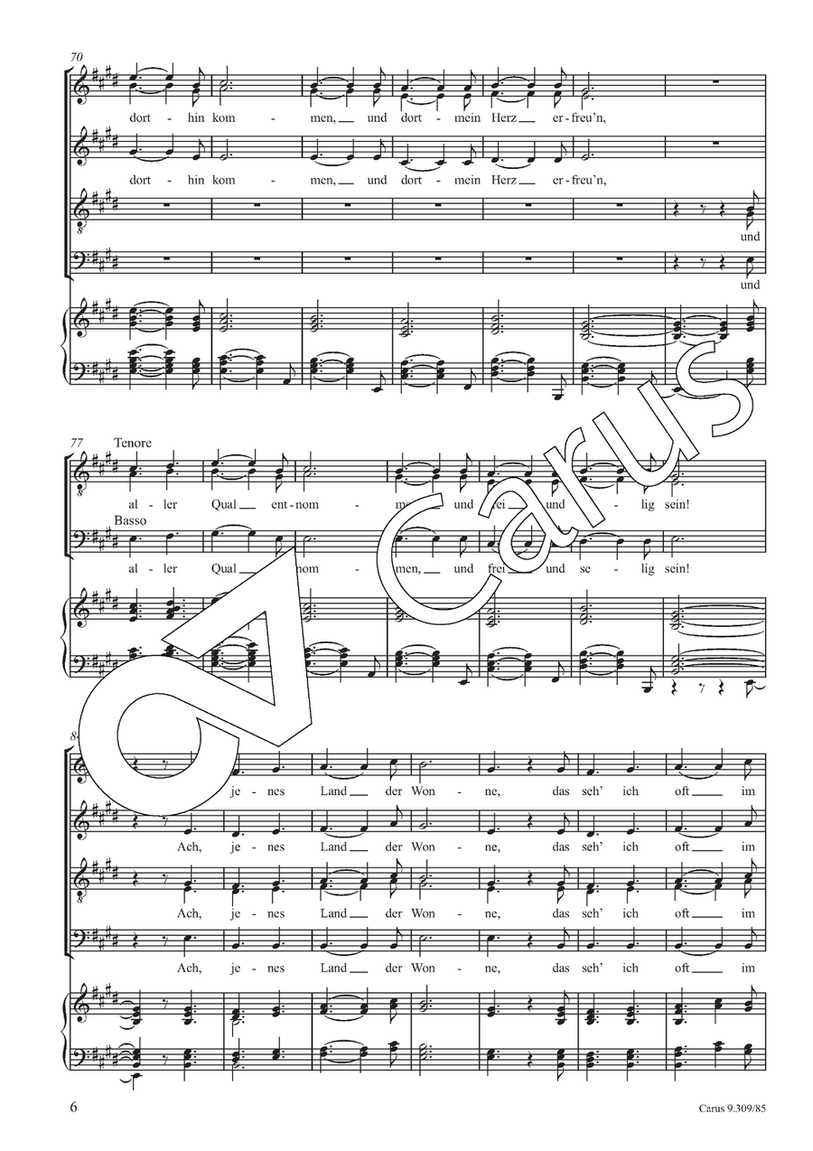 Aus alten Märchen Aus alten Märchen 4-Part scores gallery preview page 7