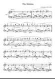 Vltava/Die Moldau - Bedřich Smetana