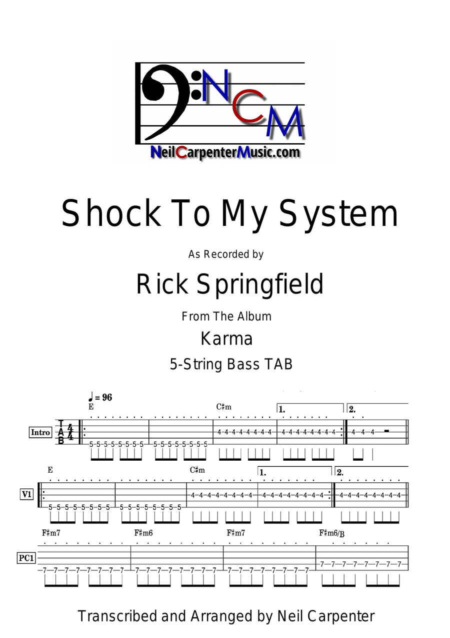 Shock To My System Shock To My System Acoustic Guitar scores gallery preview page 1