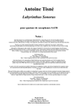 Antoine Tisné : Labyrinthus Sonoris for SATB saxophone quartet