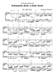 Choralvorspiel auf Schmücke dich, o liebe Seele - Johannes Brahms