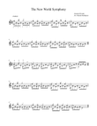 The New World Symphony