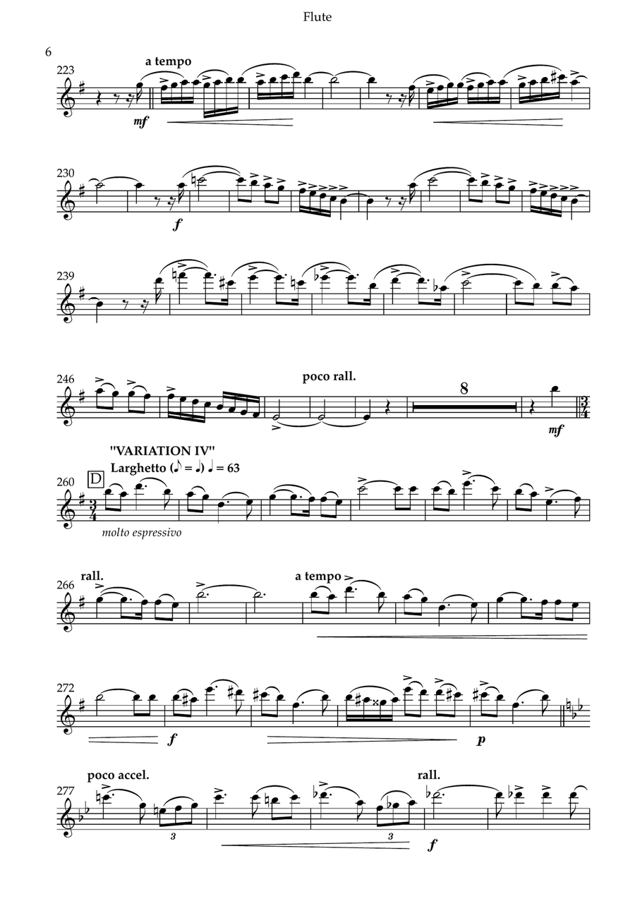 Theme and Variations Flute Solo scores gallery preview page 5