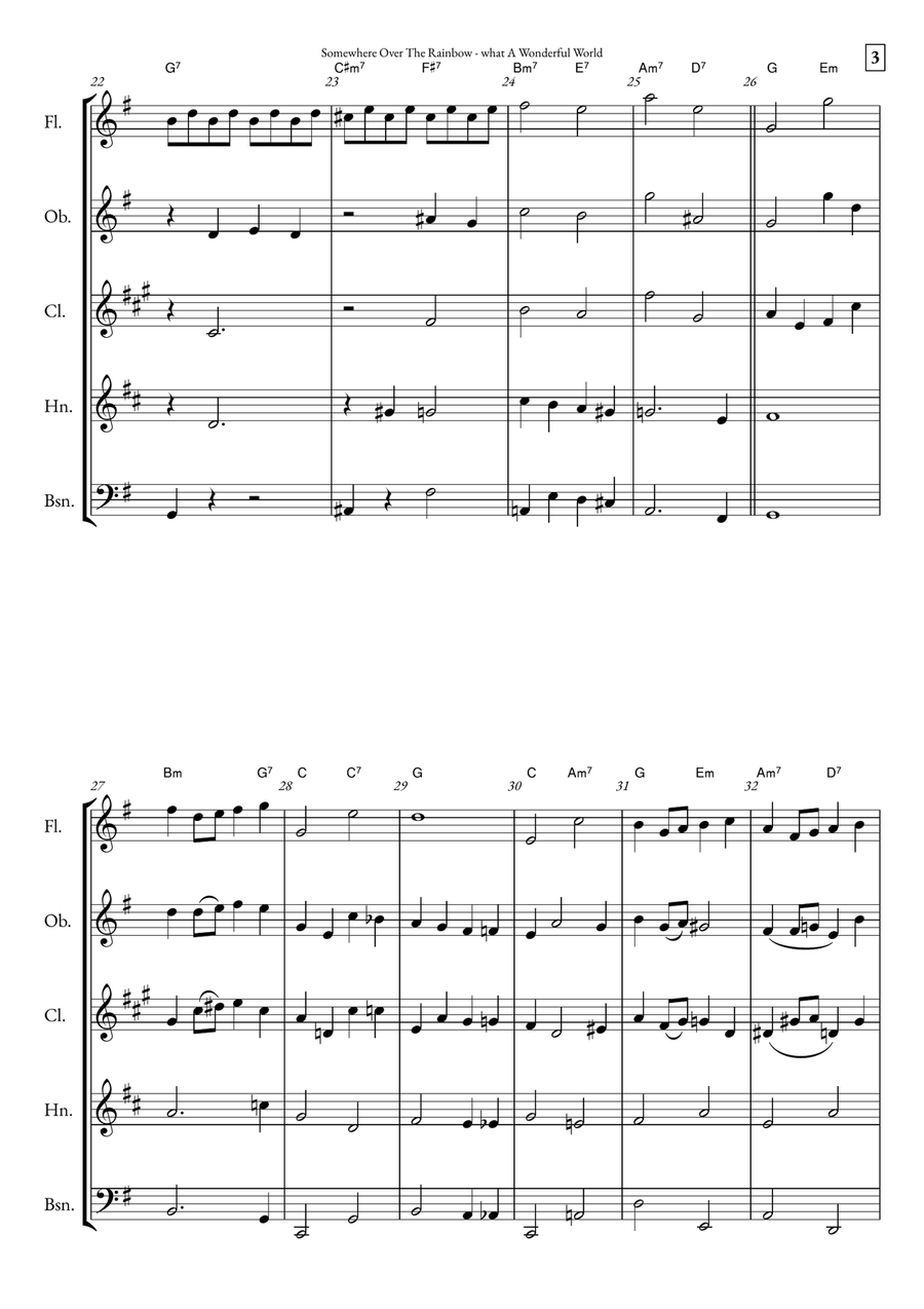 Somewhere Over The Rainbow/what A Wonderful World Woodwind Quintet scores gallery preview page 3