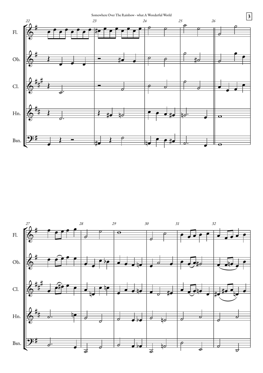 Somewhere Over The Rainbow/what A Wonderful World Woodwind Quintet scores gallery preview page 3
