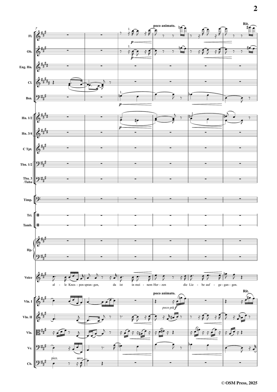R. Schumann-Dichterliebe,Op.48,for Voice and Orchestra Full Orchestra scores gallery preview page 3