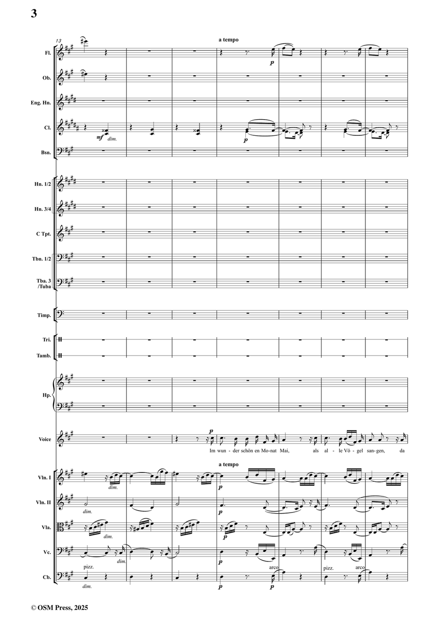 R. Schumann-Dichterliebe,Op.48,for Voice and Orchestra Full Orchestra scores gallery preview page 4