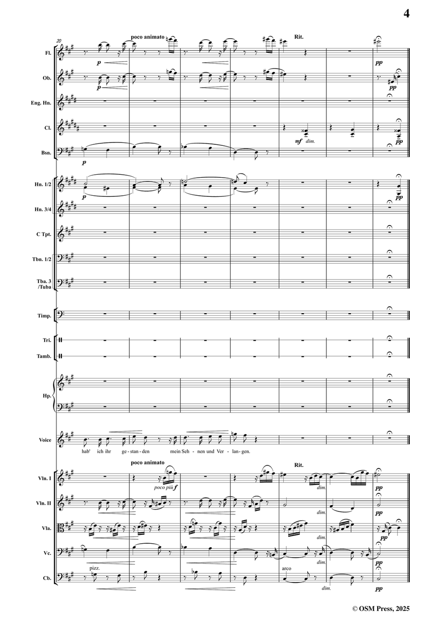 R. Schumann-Dichterliebe,Op.48,for Voice and Orchestra Full Orchestra scores gallery preview page 5