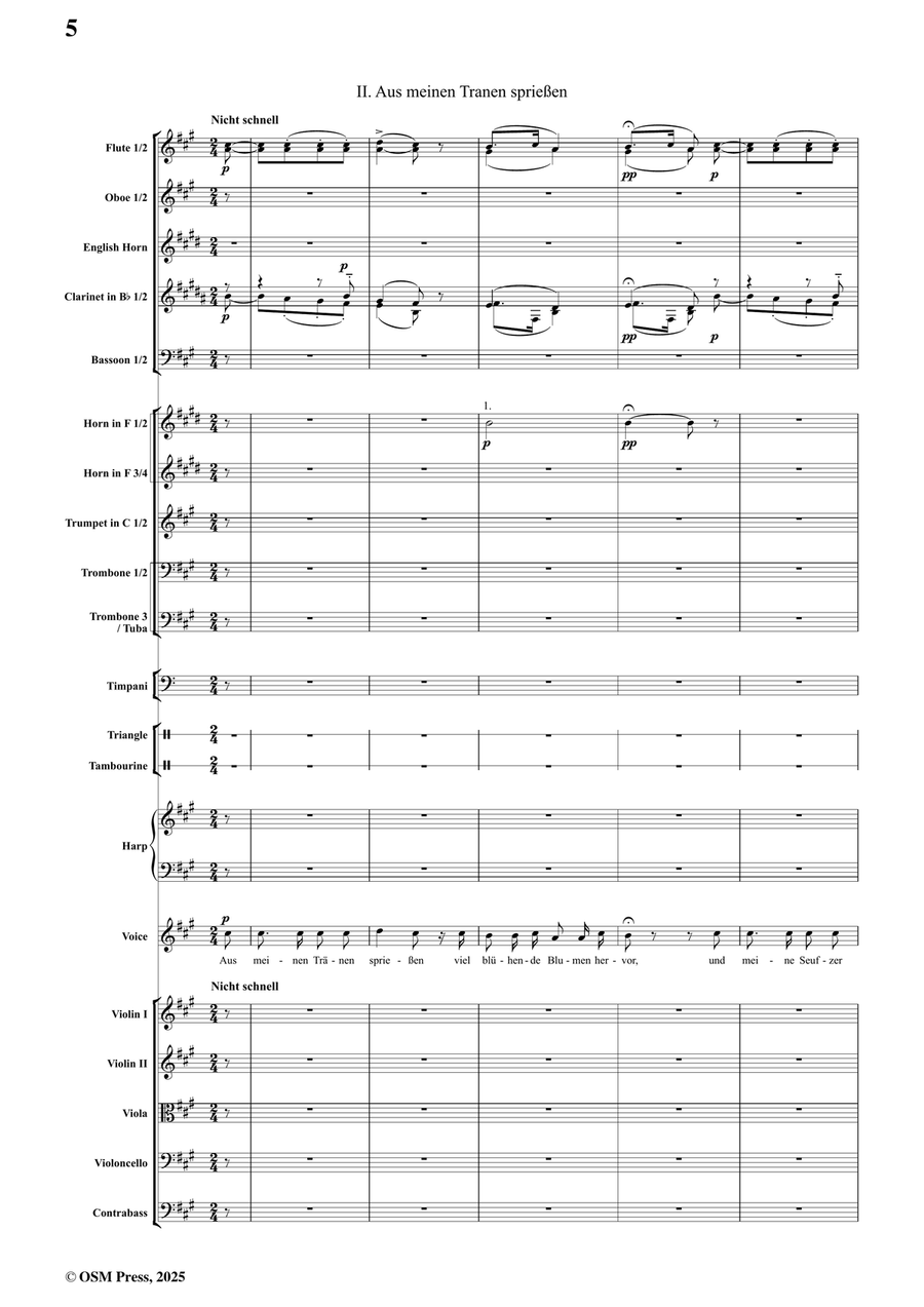 R. Schumann-Dichterliebe,Op.48,for Voice and Orchestra Full Orchestra scores gallery preview page 6
