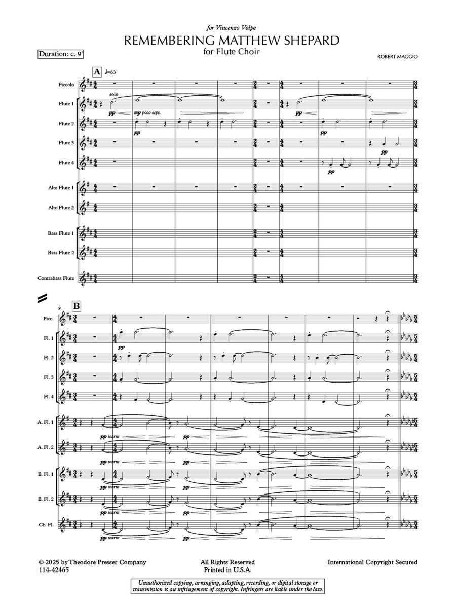 Remembering Matthew Shepard Chamber Music scores gallery preview page 2
