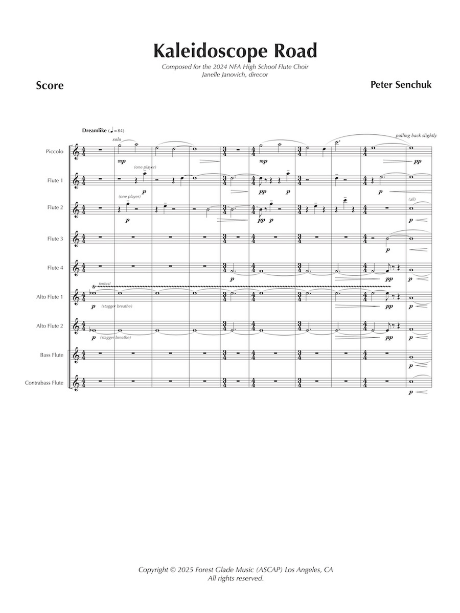 Kaleidoscope Road Kaleidoscope Road Chamber Music scores gallery preview page 2