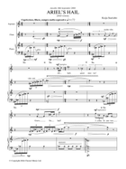 Ariel's Hail Flute scores gallery preview page 3