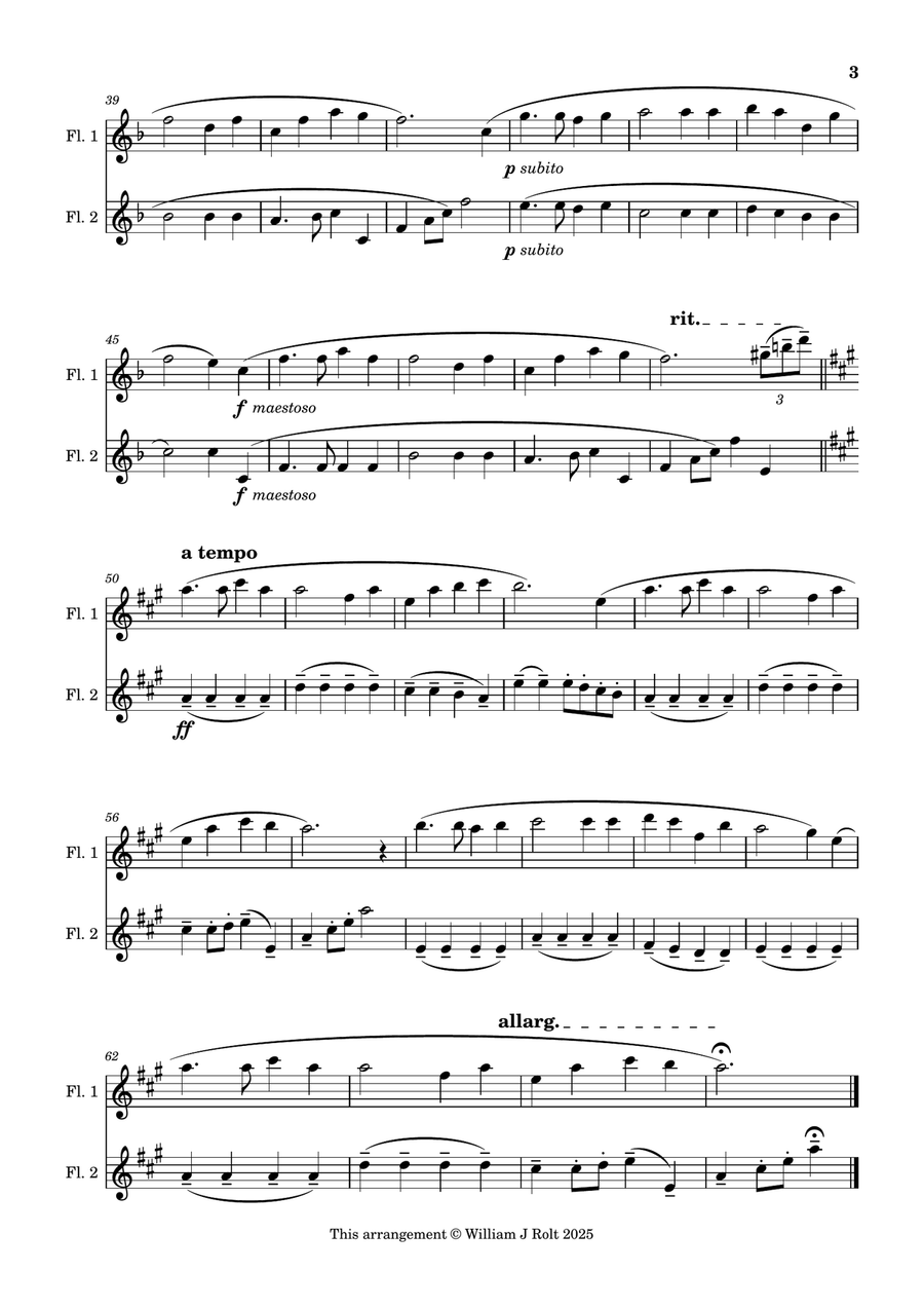 Stand up, stand up for Jesus (for 2 flutes) Flute Duet scores gallery preview page 3