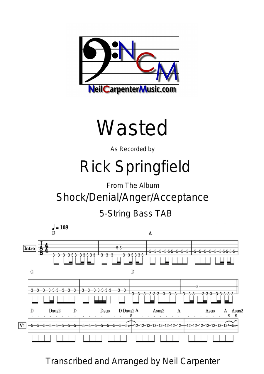 Wasted Wasted Acoustic Guitar scores gallery preview page 1