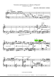 Variations and Fantasias on a Theme of Paganini [2024]