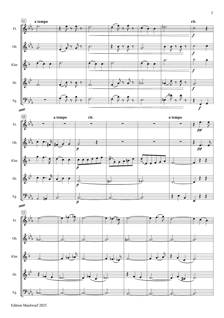 Heut' könnt einer sein Glück bei mir machen Woodwind Quintet scores gallery preview page 5