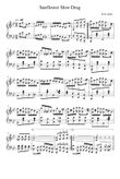 Sun Flower Slow Drag - Scott Joplin