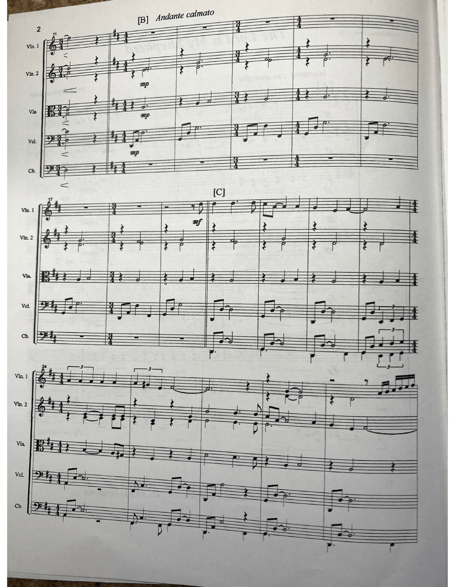The Lord is My Shepherd - Score Only String Orchestra scores gallery preview page 3