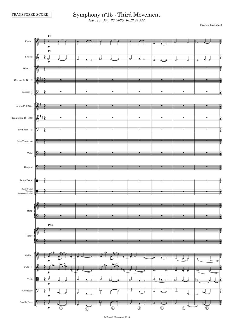 Symphony nº15 (third movement) Full Orchestra scores gallery preview page 2