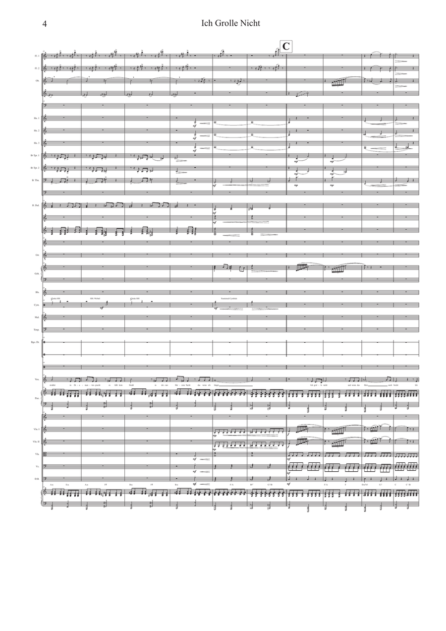 Ich grolle nicht / I won't complain Full Orchestra scores gallery preview page 4