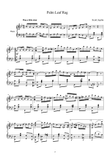 Palm Leaf Rag - Scott Joplin
