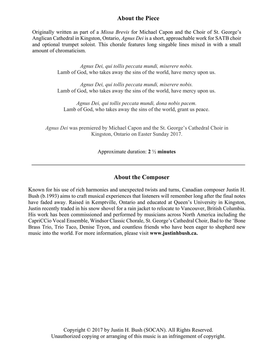 Agnus Dei for SATB Choir Agnus Dei for SATB Choir 4-Part scores gallery preview page 2