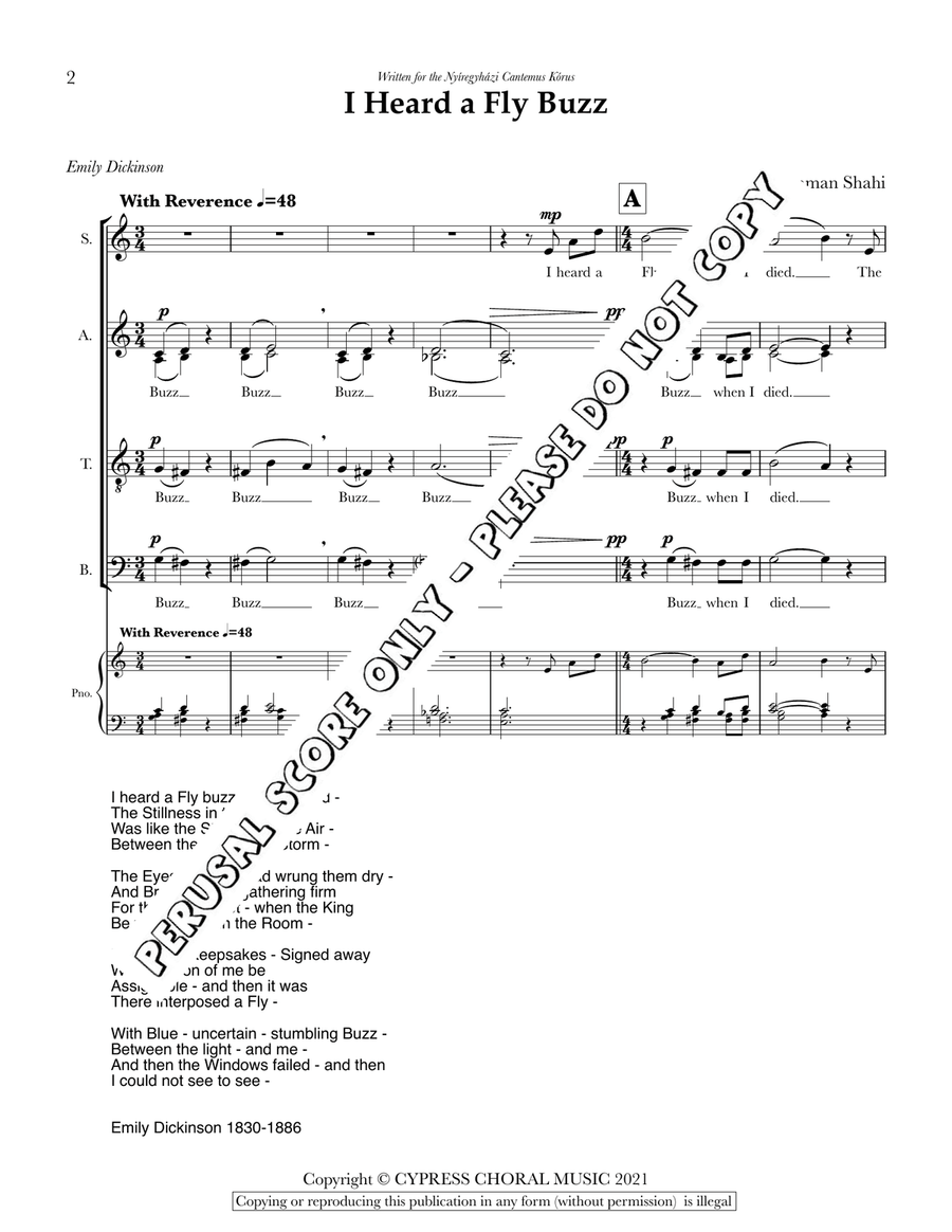 I Heard A Fly Buzz I Heard A Fly Buzz Divisi scores gallery preview page 2