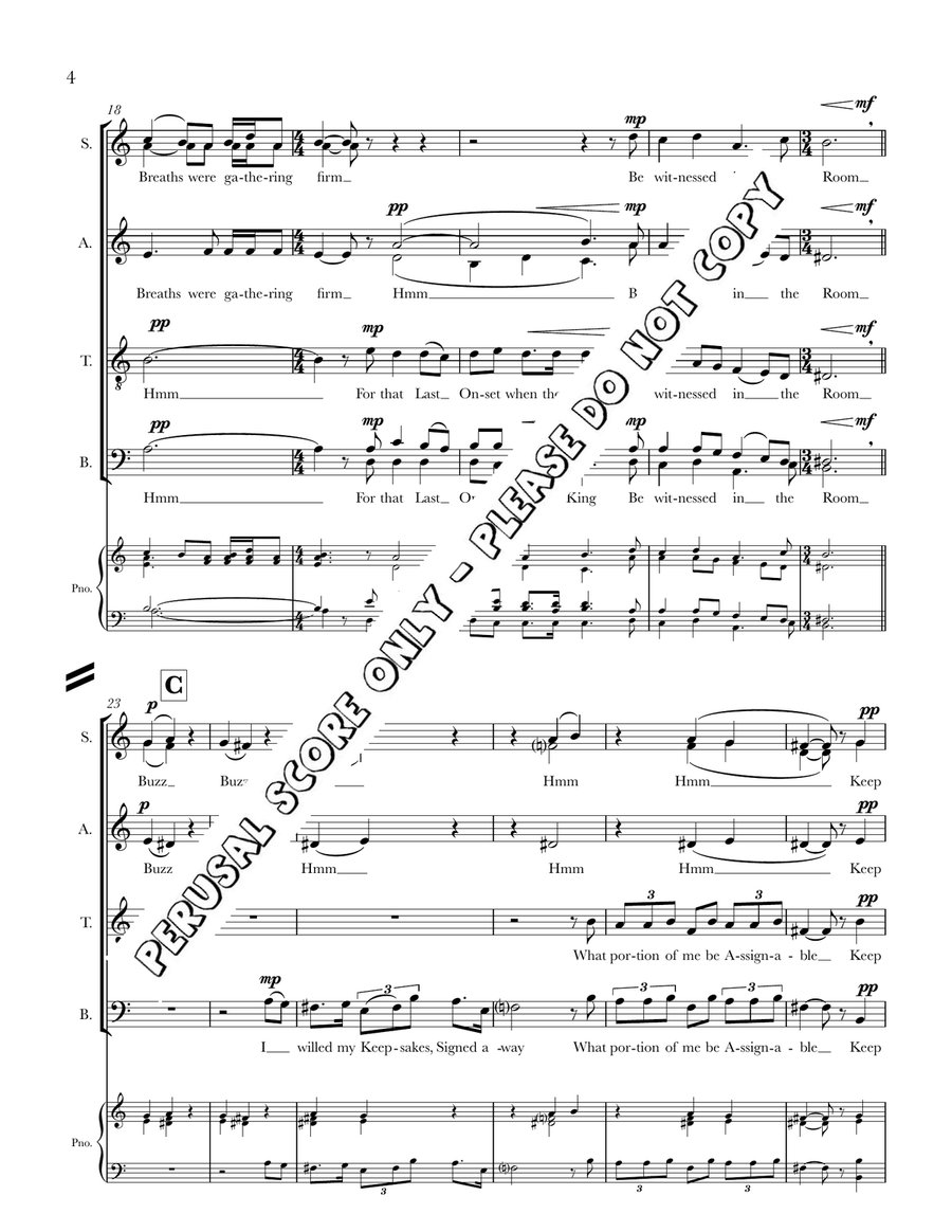 I Heard A Fly Buzz I Heard A Fly Buzz Divisi scores gallery preview page 4