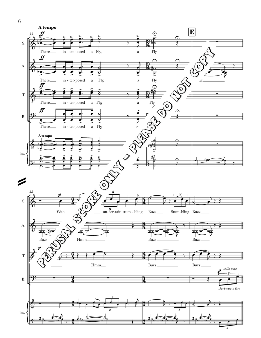 I Heard A Fly Buzz I Heard A Fly Buzz Divisi scores gallery preview page 6