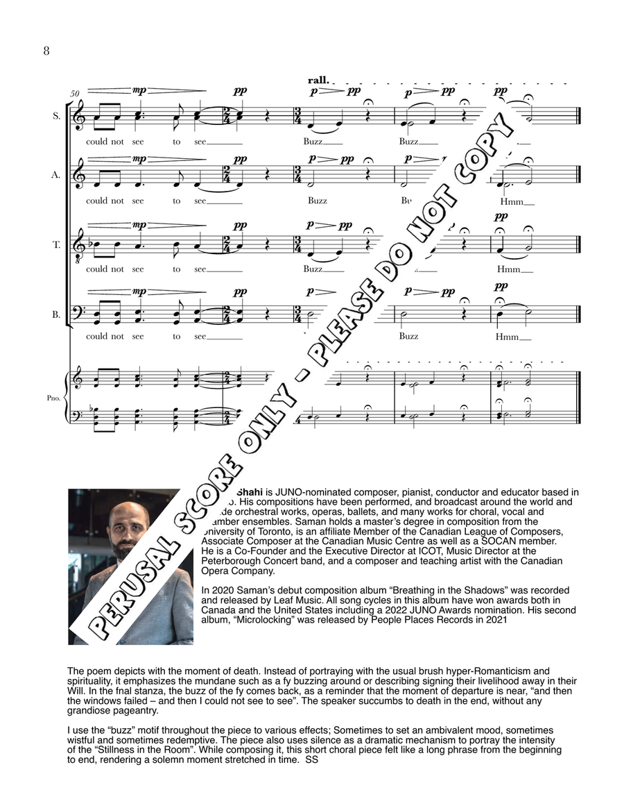 I Heard A Fly Buzz I Heard A Fly Buzz Divisi scores gallery preview page 8
