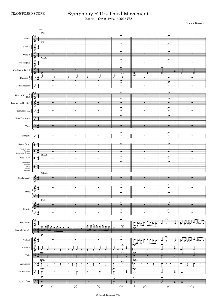 Symphony nº10 (third movement) Full Orchestra scores gallery preview page 2
