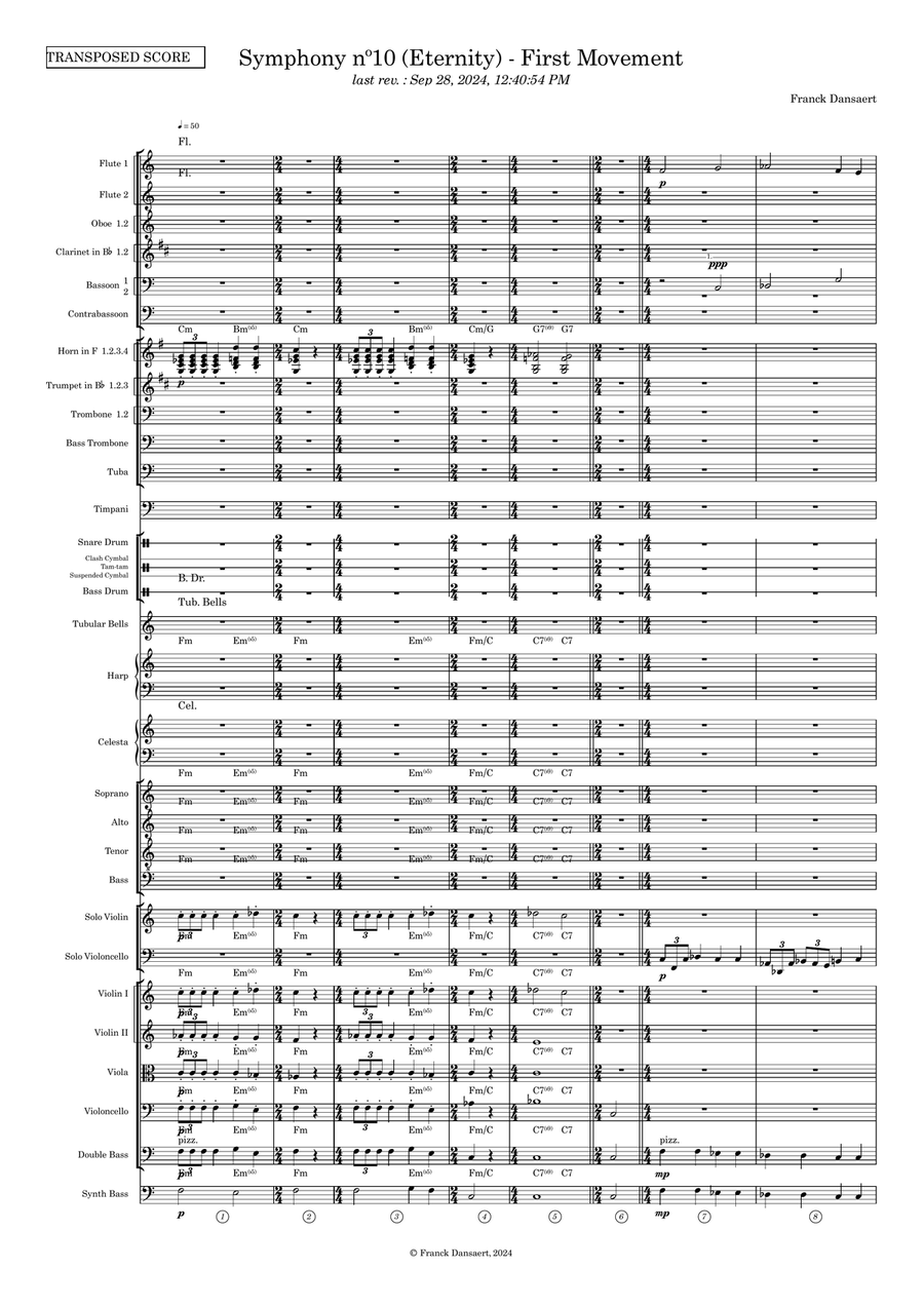 Symphony nº10 (first movement) Full Orchestra scores gallery preview page 2