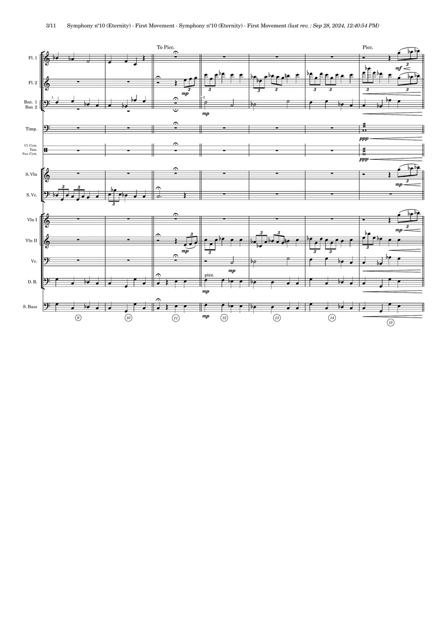 Symphony nº10 (first movement) Full Orchestra scores gallery preview page 3
